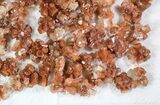 Lot: Small Twinned Aragonite Crystals - Pieces #78108-4